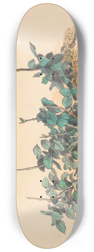 Karl Wiener - Ohne Titel (Grnpflanzen) 8.25 inch art skate deck