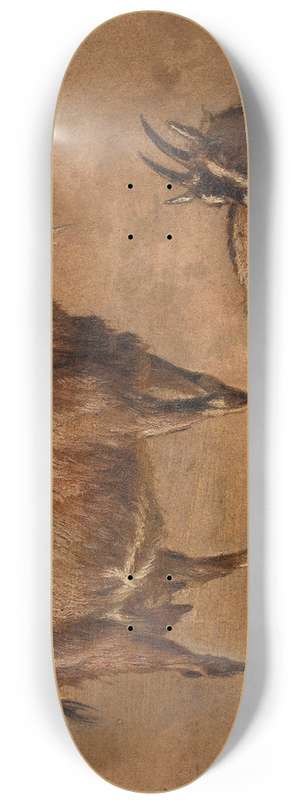 Andre Plumot - Goats 8.25 inch art skate deck