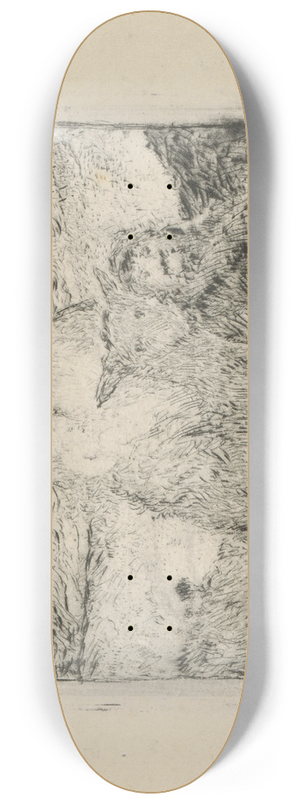 Kroly Kotsz - tek do Egypta 8.25 inch art skate deck