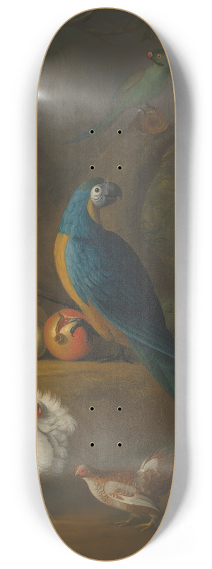 Leonard Hbner - A macaw and other birds in a landscape 8.25 inch art skate deck