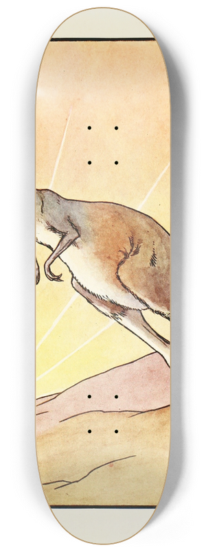 Leonard Leslie Brooke - The jumblies and other nonsense verses Pl.3 8.25 inch art skate deck