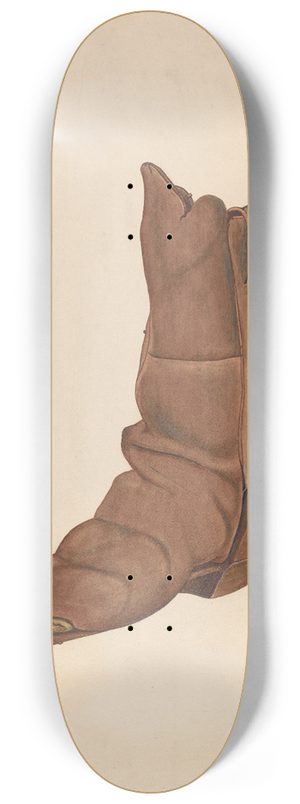 LeRoy Griffith - Childs Boot 8.25 inch art skate deck