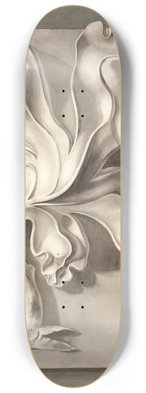 Lilly Walther - Kipsakants 8.25 inch art skate deck