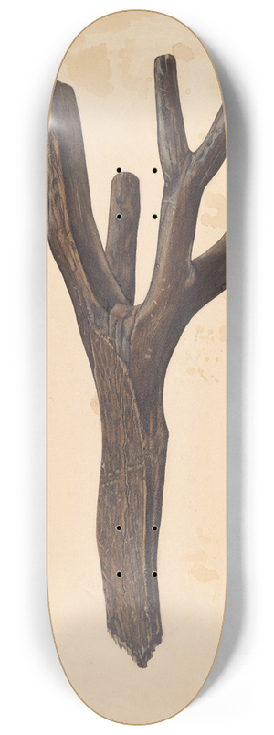 Lloyd A. Davidson - Bootjack 8.25 inch art skate deck