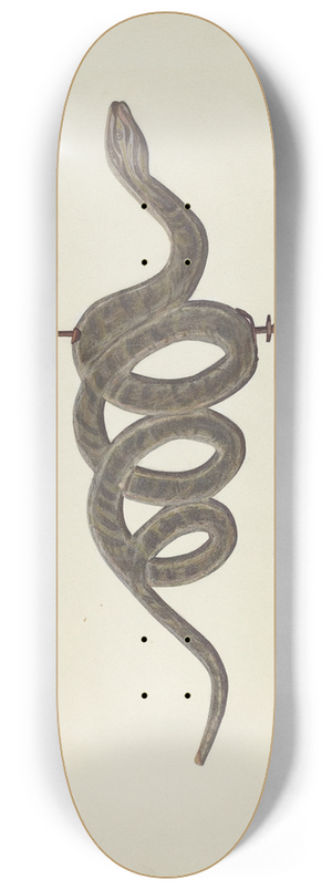 Lloyd Broome - Serpent Weather Vane 8.25 inch art skate deck