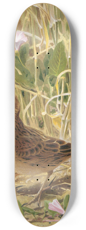 Lo-Paul Robert - Alouette 8.25 inch art skate deck