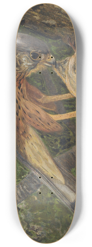Lo-Paul Robert - Crcerelle 8.25 inch art skate deck Lo-Paul Robert - Crcerelle 8.25 inch art skate deck