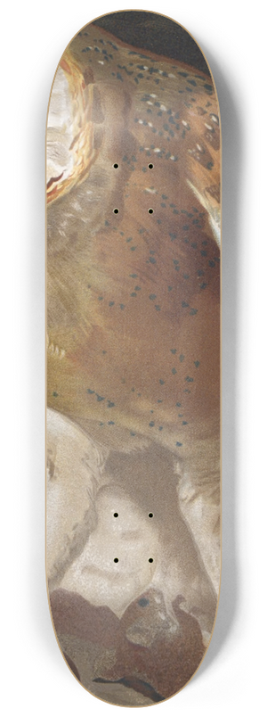 Lo-Paul Robert - Effraie 8.25 inch art skate deck