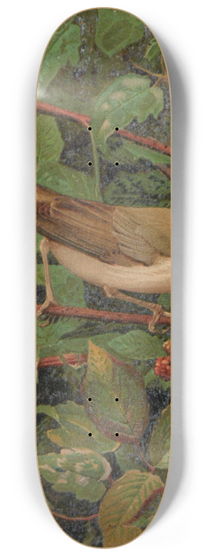 Lo-Paul Robert - Fauvette a tte noire 8.25 inch art skate deck Lo-Paul Robert - Fauvette a tte noire 8.25 inch art skate deck
