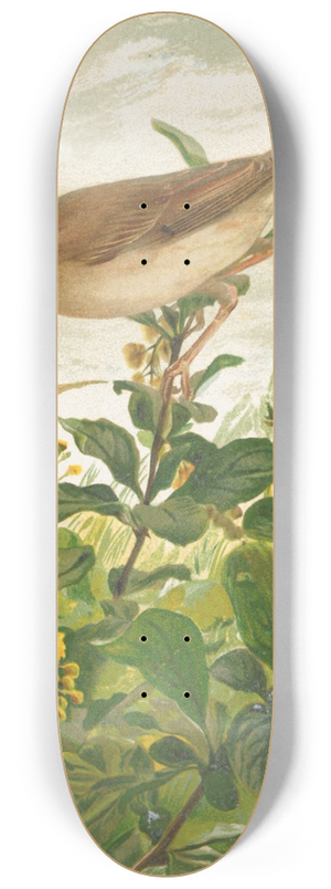 Lo-Paul Robert - Fauvette Grisette 8.25 inch art skate deck Lo-Paul Robert - Fauvette Grisette 8.25 inch art skate deck