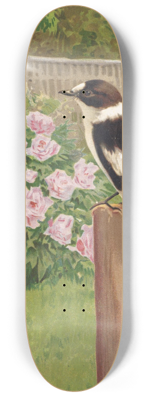 Lo-Paul Robert - Gobe-Mouches a Collier 8.25 inch art skate deck Lo-Paul Robert - Gobe-Mouches a Collier 8.25 inch art skate deck