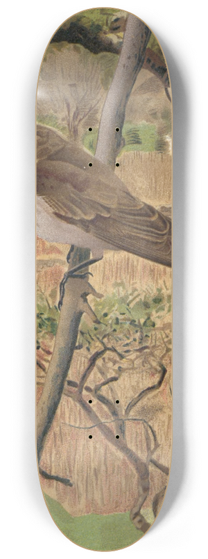 Lo-Paul Robert - Gobe-Mouches Gris 8.25 inch art skate deck