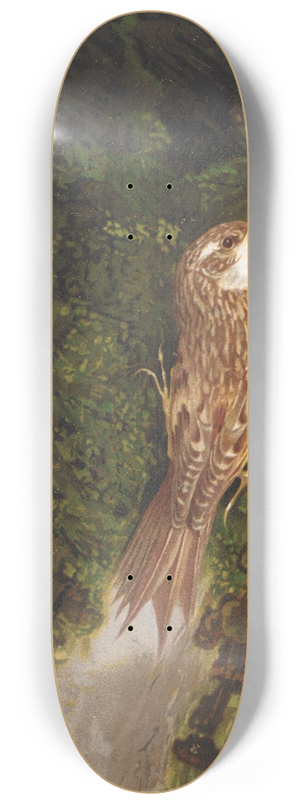 Lo-Paul Robert - Grimpereau 8.25 inch art skate deck Lo-Paul Robert - Grimpereau 8.25 inch art skate deck