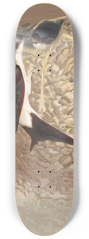 Lo-Paul Robert - Hirondelle de Fentre 8.25 inch art skate deck Lo-Paul Robert - Hirondelle de Fentre 8.25 inch art skate deck