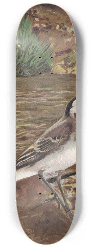 Lo-Paul Robert - Lavandire Grise 8.25 inch art skate deck