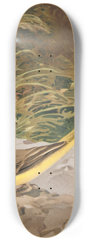 Lo-Paul Robert - Lavandire Jaune 8.25 inch art skate deck Lo-Paul Robert - Lavandire Jaune 8.25 inch art skate deck
