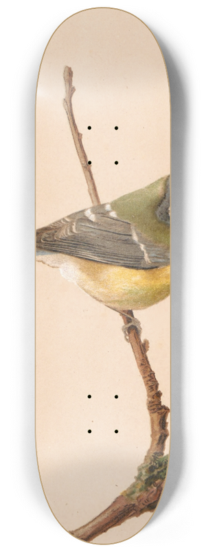 Lo-Paul Robert - Msange Bleue 8.25 inch art skate deck Lo-Paul Robert - Msange Bleue 8.25 inch art skate deck