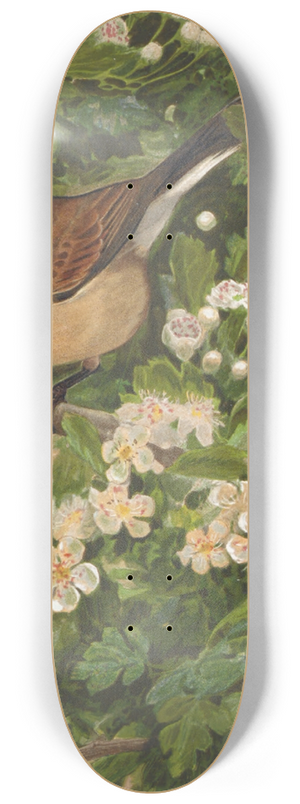 Lo-Paul Robert - Pie Griche 8.25 inch art skate deck Lo-Paul Robert - Pie Griche 8.25 inch art skate deck