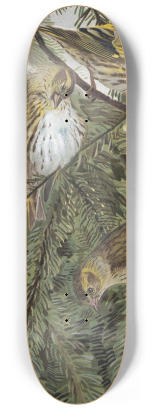 Lo-Paul Robert - Tarin 8.25 inch art skate deck
