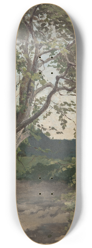 Anna Nordlander - A Tree. Study 8.25 inch art skate deck