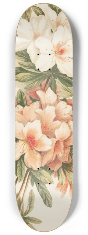 Louis Prang - Azaleas 8.25 inch art skate deck Louis Prang - Azaleas 8.25 inch art skate deck