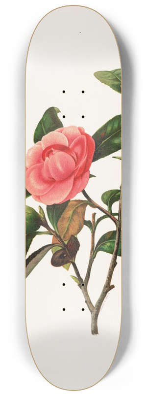 Louis Prang - Camellia 8.25 inch art skate deck Louis Prang - Camellia 8.25 inch art skate deck