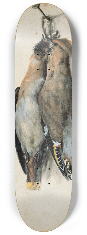 Lucas Cranach the Elder - Two Dead Bohemian Waxwings 8.25 inch art skate deck