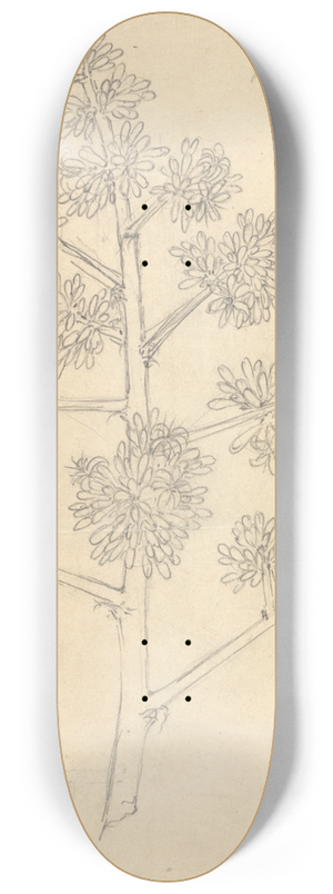 Luigi Balugani - Gibara 8.25 inch art skate deck