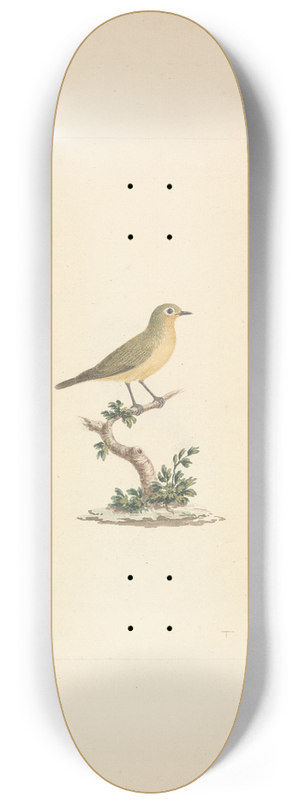 Luigi Balugani - Unidentified Bird 8.25 inch art skate deck