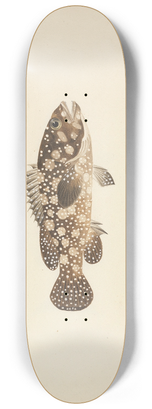 Luigi Balugani - Unidentified Fish 8.25 inch art skate deck
