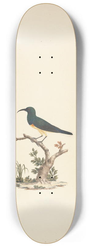 Luigi Balugani - Unidentified Sunbird 8.25 inch art skate deck