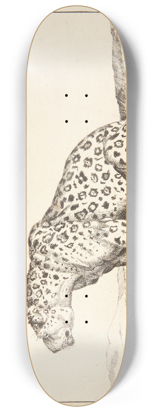 Marcus de Bye - Siddende hunleopard, vendt mod venstre 8.25 inch art skate deck