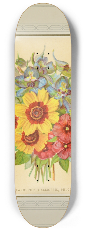 Marcus Ward & Co - Larkspur, Calliopsis, Phlox 8.25 inch art skate deck