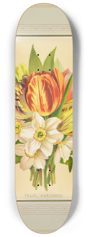 Marcus Ward & Co - Tulip, Narcissus 8.25 inch art skate deck
