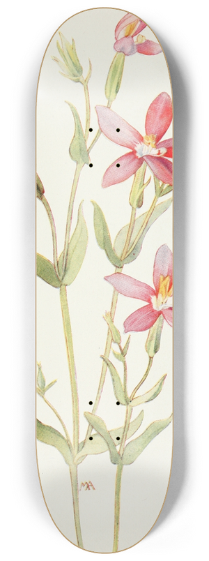 Margaret Armstrong - Canchalagua 8.25 inch art skate deck