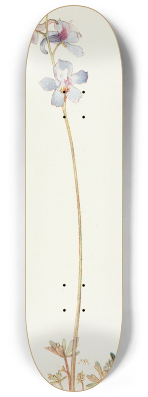 Margaret Armstrong - Foothills Larkspur 8.25 inch art skate deck