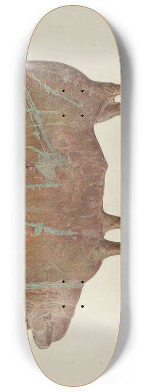 Marian Page - Pig Weather Vane 8.25 inch art skate deck