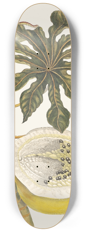 Maria Sibylla Merian - Carica papaya 8.25 inch art skate deck