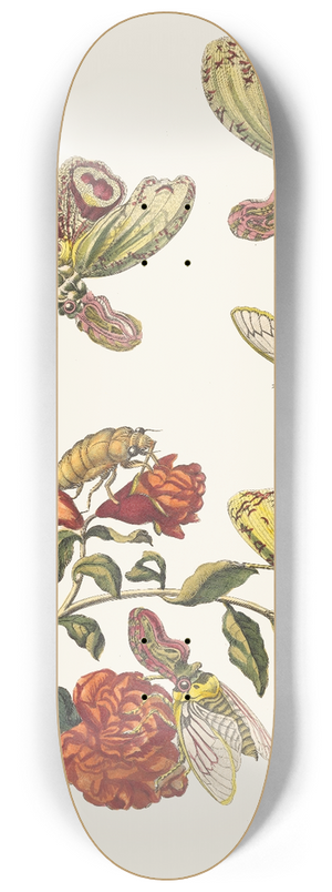 Maria Sibylla Merian - Grenadier. 8.25 inch art skate deck