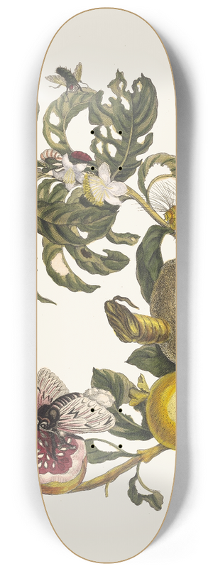 Maria Sibylla Merian - Guajaves 8.25 inch art skate deck