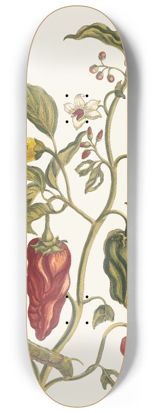 Maria Sibylla Merian - Poivre djnde 8.25 inch art skate deck