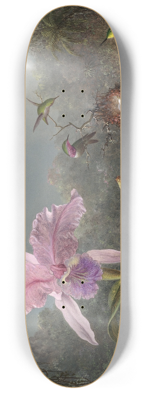 Martin Johnson Heade - Cattleya Orchid and Three Hummingbirds 8.25 inch art skate deck