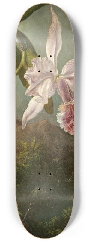 Martin Johnson Heade - Orchid Blossoms 8.25 inch art skate deck