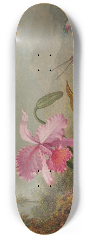Martin Johnson Heade - Orchids And Hummingbirds 8.25 inch art skate deck