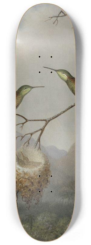 Martin Johnson Heade - Two Hummingbirds with TheirYoung 8.25 inch art skate deck