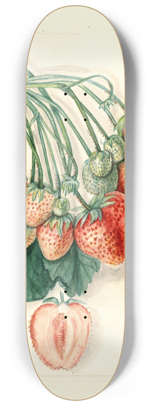 Mary Daisy Arnold - Fragaria: Manhattan 8.25 inch art skate deck
