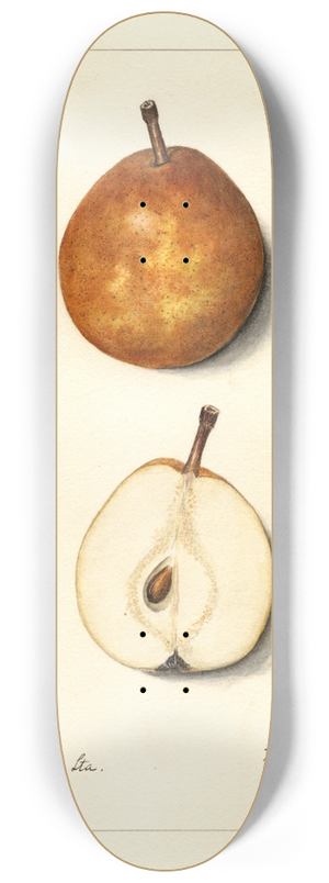 Mary Daisy Arnold - Pyrus communis: Lamartine 8.25 inch art skate deck