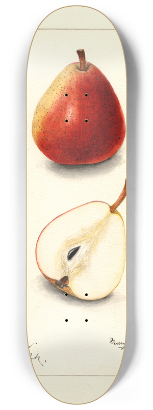 Mary Daisy Arnold - Pyrus communis: Wilder 8.25 inch art skate deck