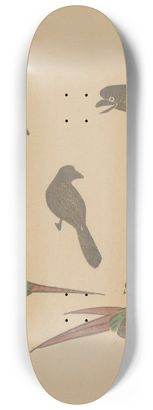 Masayoshi Kitao - Choju ryakugashiki, Pl.28 8.25 inch art skate deck