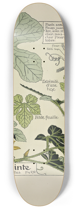 Maurice Pillard Verneuil - Coloquinte 8.25 inch art skate deck